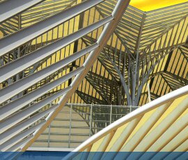 Quality in Endoscopy: Upper GI endoscopy & neoplasia